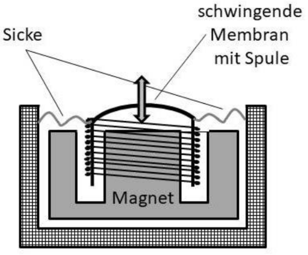 Querschnitt eines Lautsprechers mit schwingender Membran, Spule, Magnet und Sicke